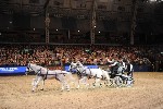 Extreme - 00949